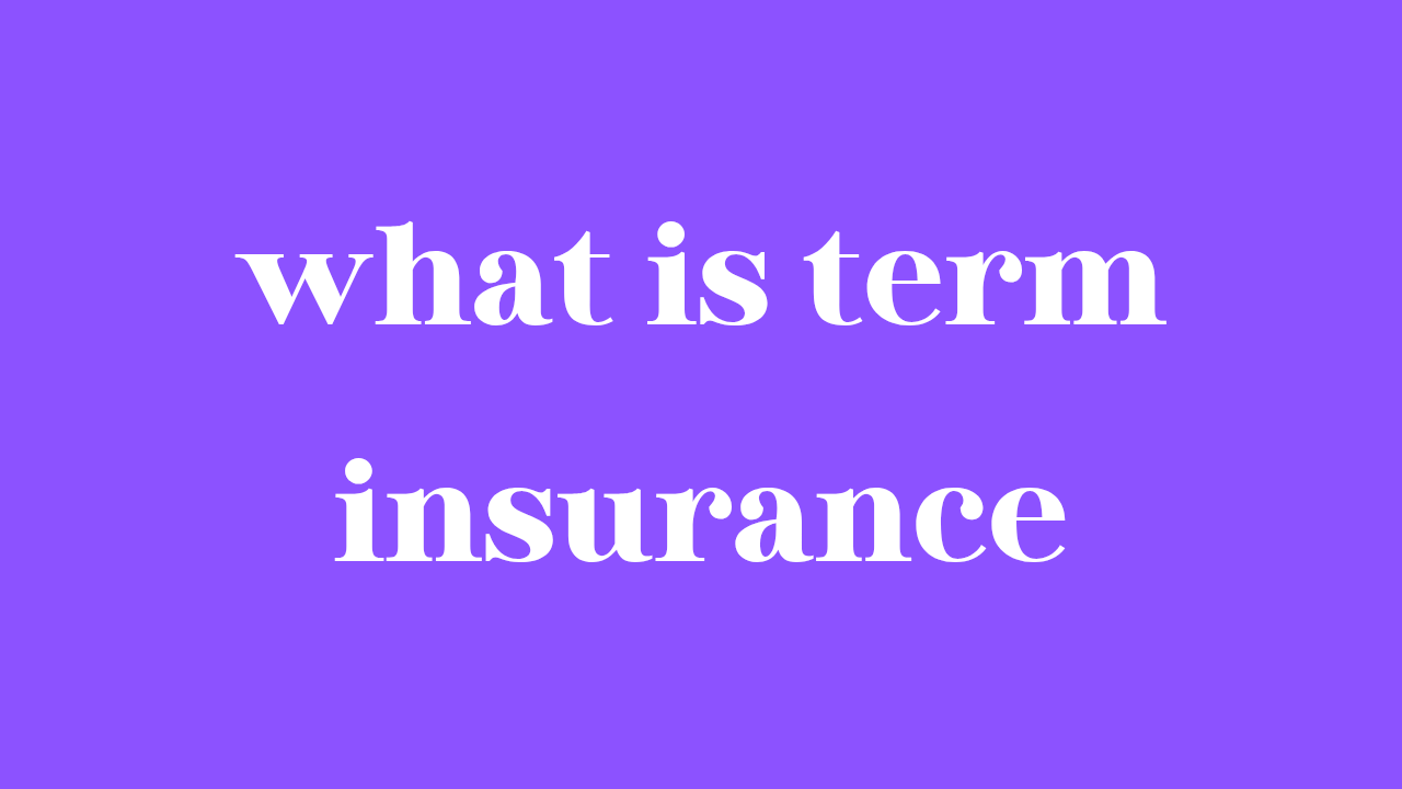 what is term insurance
